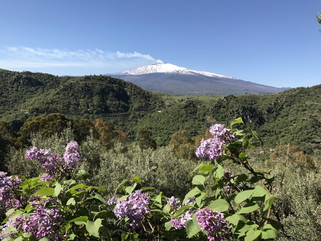 Villa Uliveto Francavilla di Sicilia Exterior foto